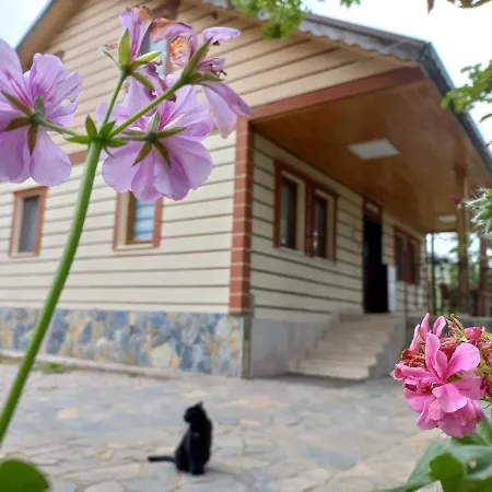 Enjoy Cozy Mountain House At The Foot Of Uludag